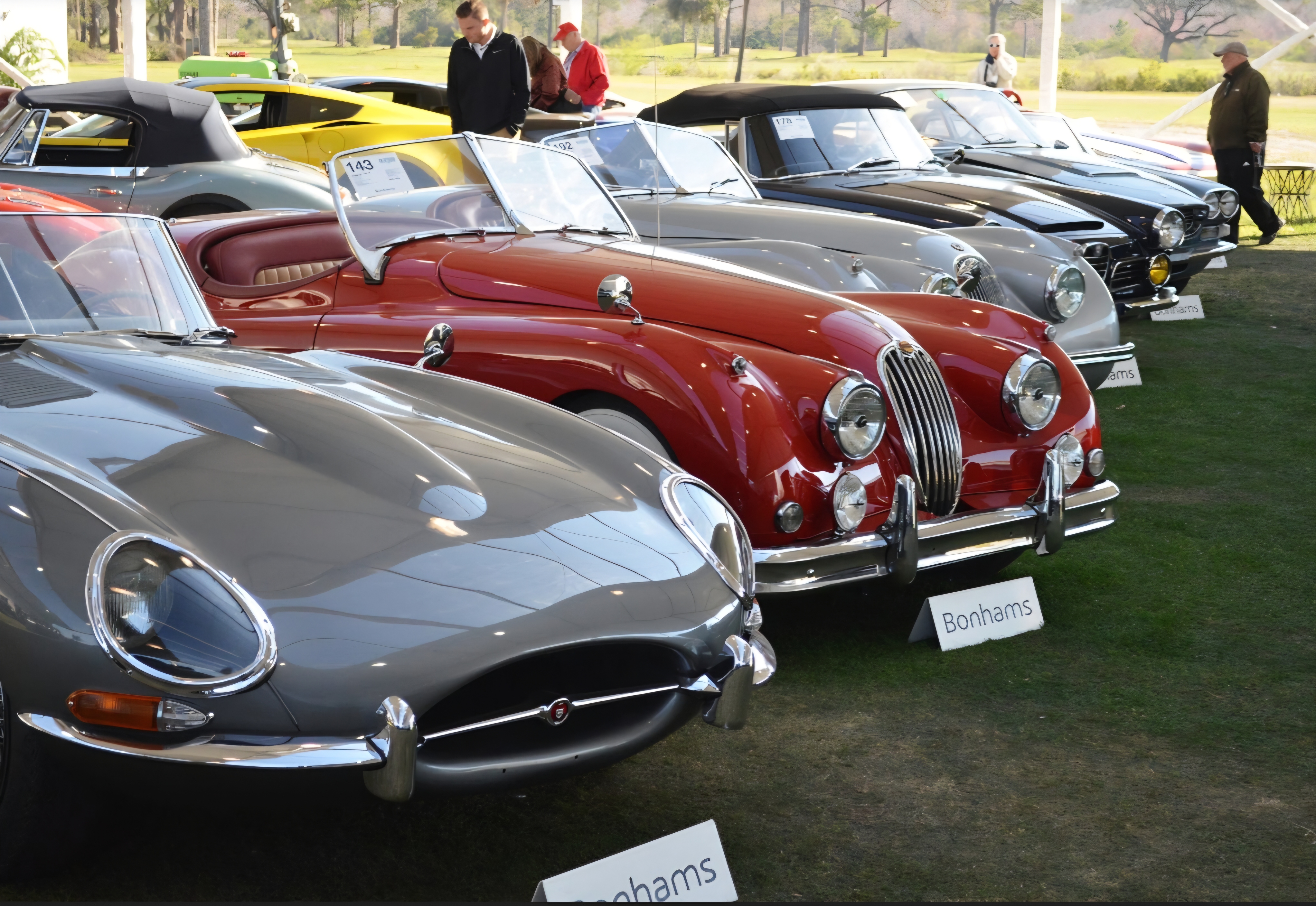A collection of vintage sports cars, including a red Jaguar, parked on a grassy field with people standing nearby, possibl...